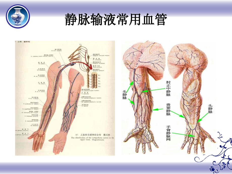 危重病人血管保护.ppt.ppt_第2页