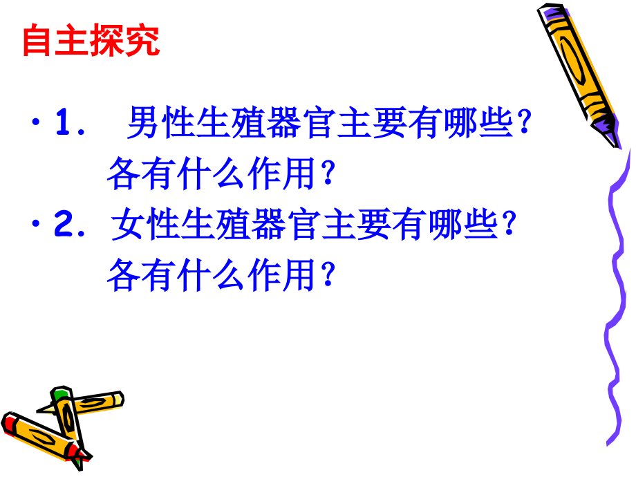 人的消化系统.ppt_第1页