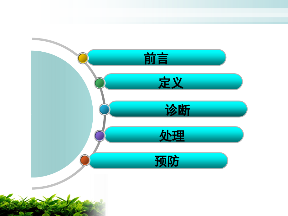 妊娠期铁缺乏.ppt_第2页