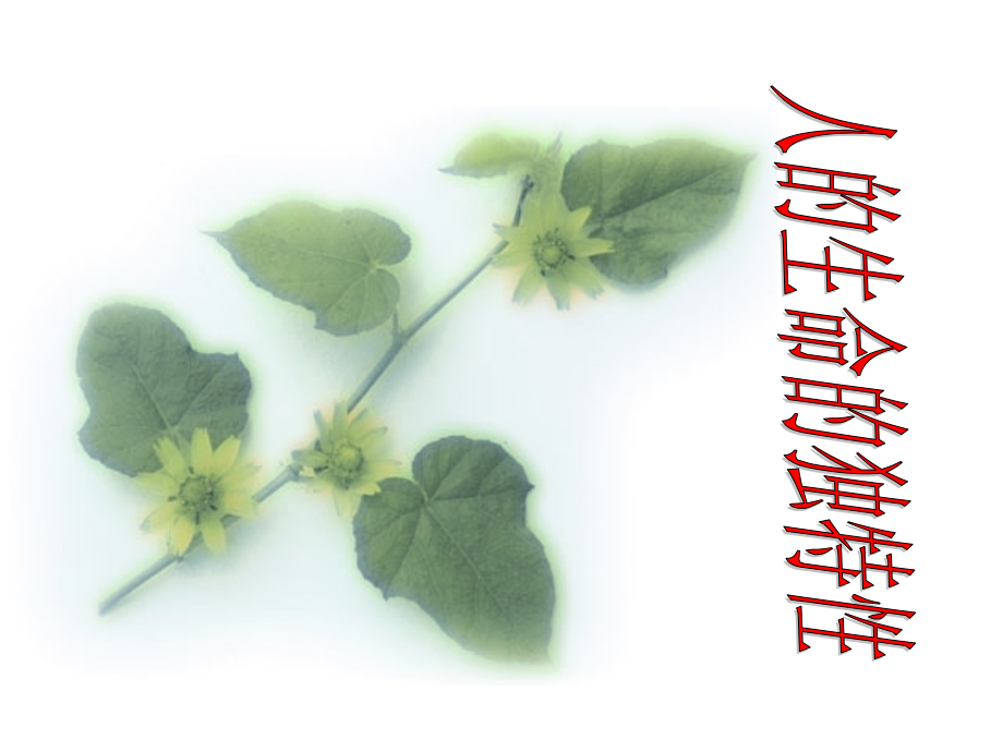 人的生命的独特性.ppt_第1页