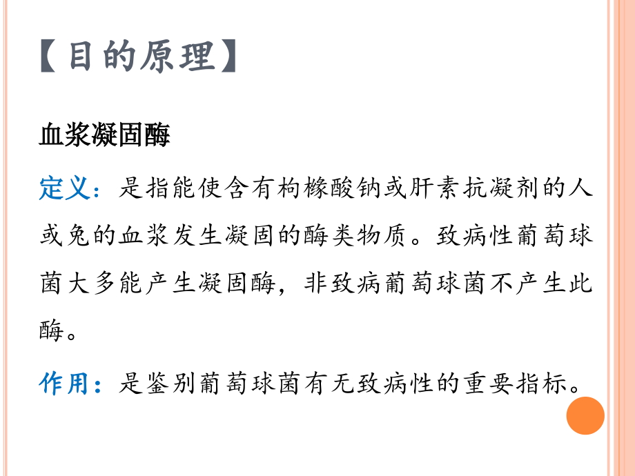 血浆凝固酶试验详解.ppt_第2页