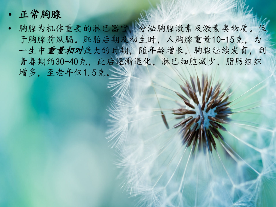 胸腺瘤ppt.ppt_第2页