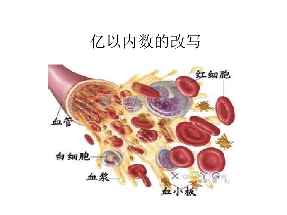 亿以内数的改写.ppt_第1页
