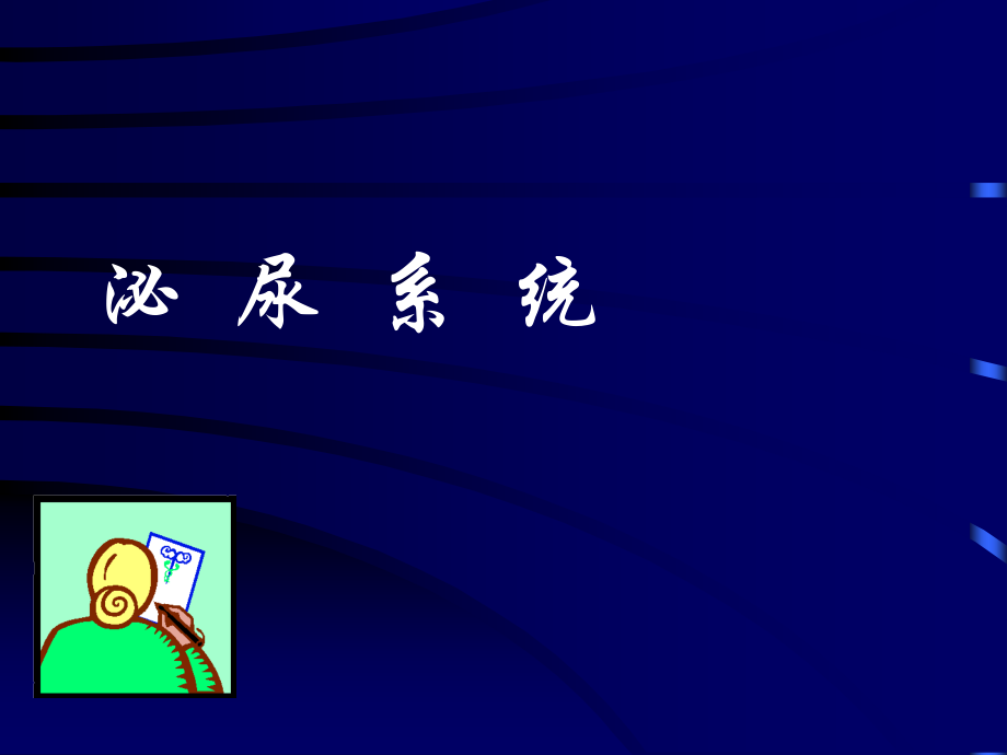 泌尿系统影像讲义.ppt_第1页
