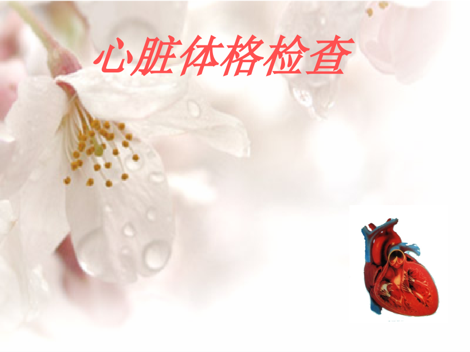 心脏体格检查.ppt.ppt_第1页
