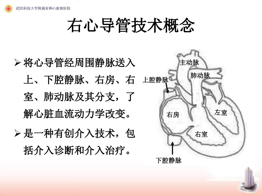 右心导管检查和心血管造影.ppt_第2页