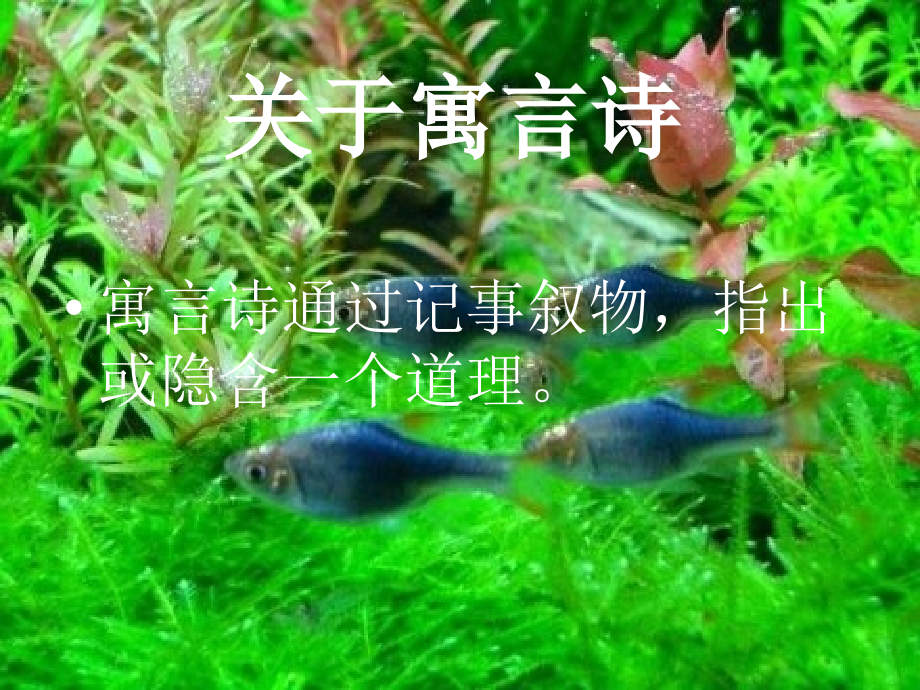 北京课改初中语文七上《寓言诗两首》.ppt_第2页