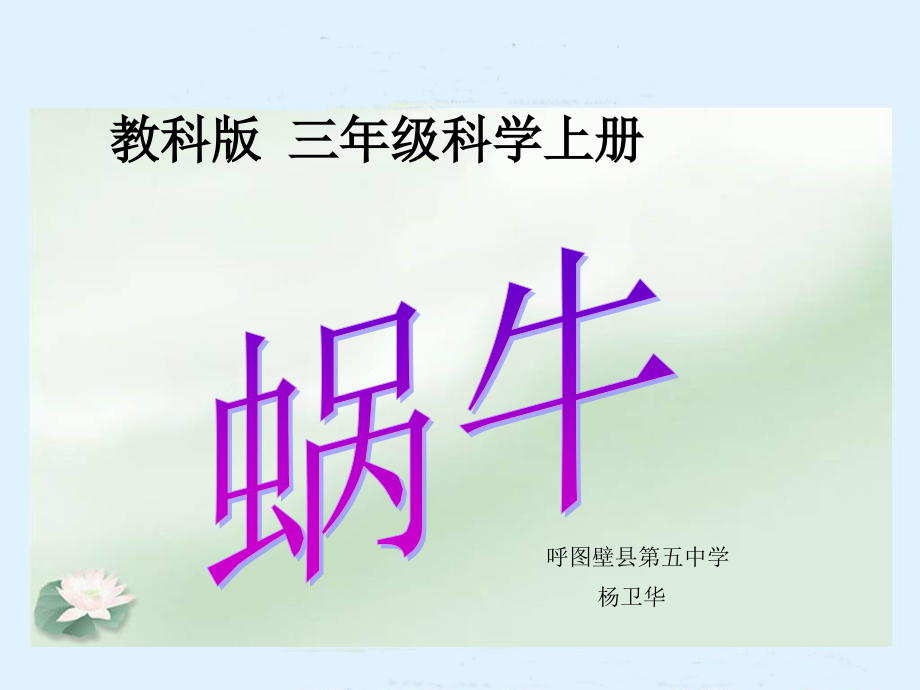 蜗牛（教科版）三年级科学上册PPT课件.ppt_第1页