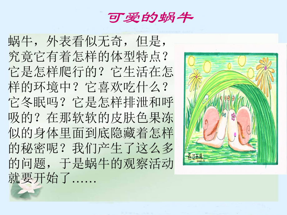 蜗牛（教科版）三年级科学上册PPT课件.ppt_第2页