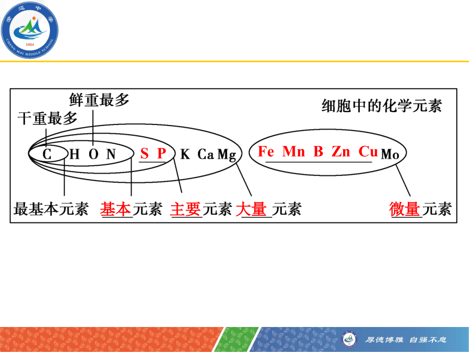 一轮复习组成细胞的元素及无机化合物概述.ppt_第2页