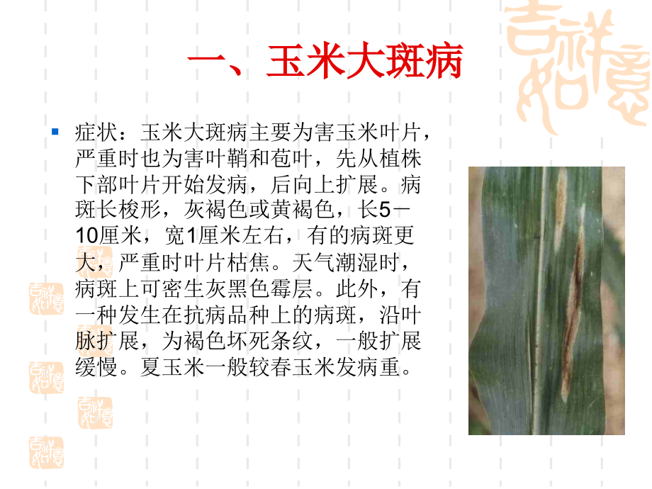 玉米病虫害及防治.ppt_第2页