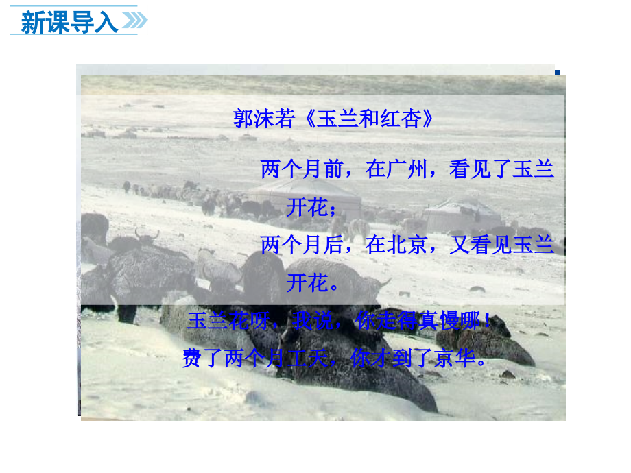 第二节-气温的变化与分布-第二课时.ppt_第2页