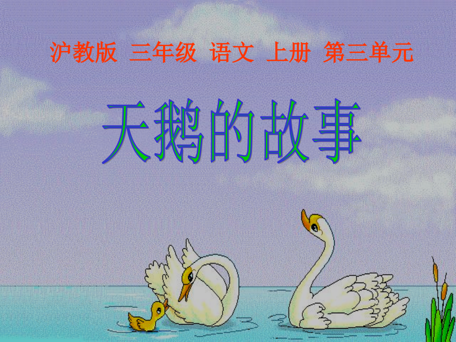小学语文三年级课件-天鹅的故事-沪教版.ppt_第1页