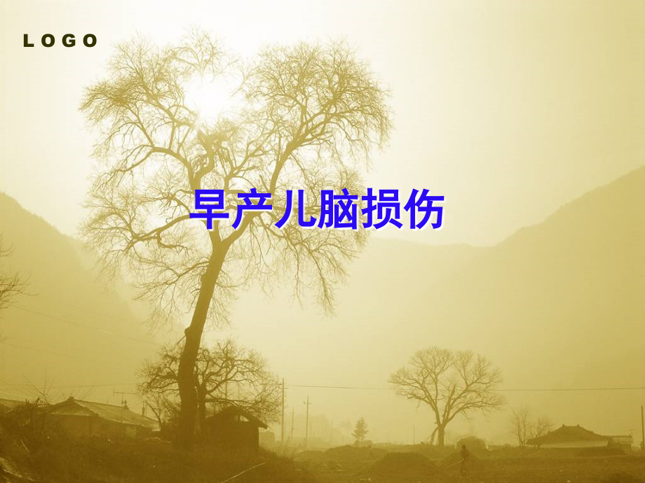 早产儿脑损伤2015年.ppt_第1页