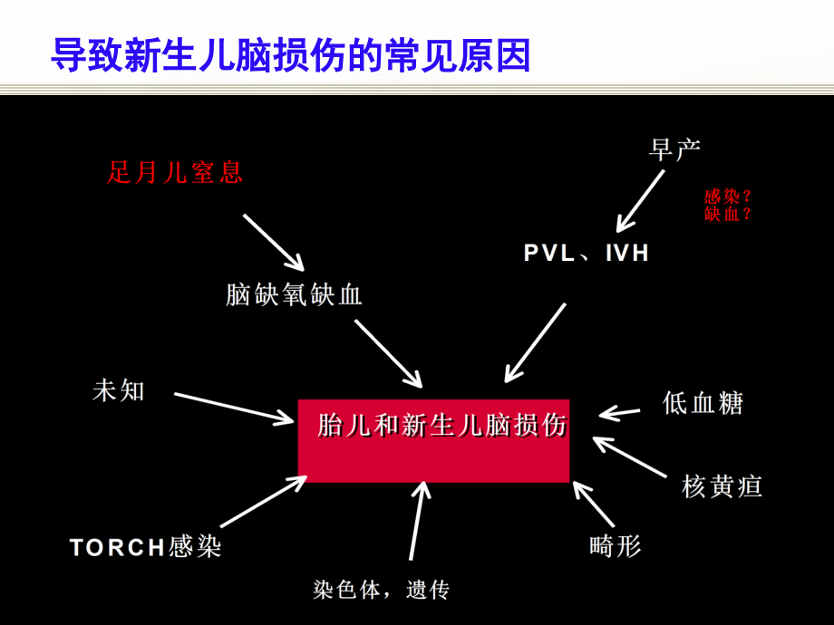 早产儿脑损伤2015年.ppt_第2页