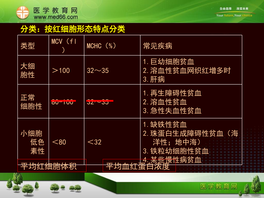 有关贫血的PPT.ppt_第2页