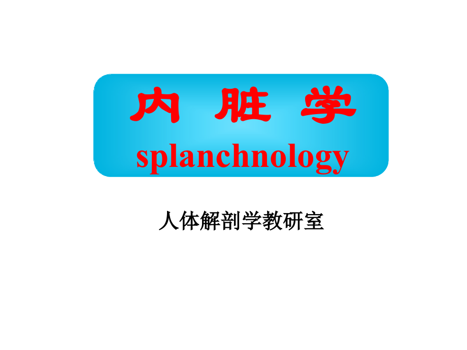 内脏总论、消化管(一).ppt_第2页