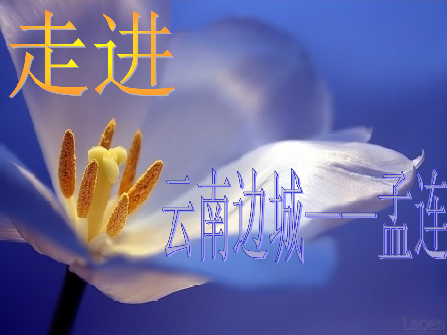 走进云南边城.ppt_第1页