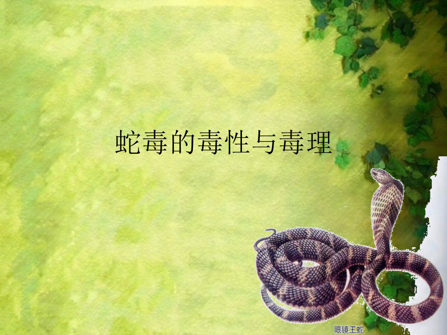 蛇毒的毒性与毒理——上传ppt.ppt_第1页