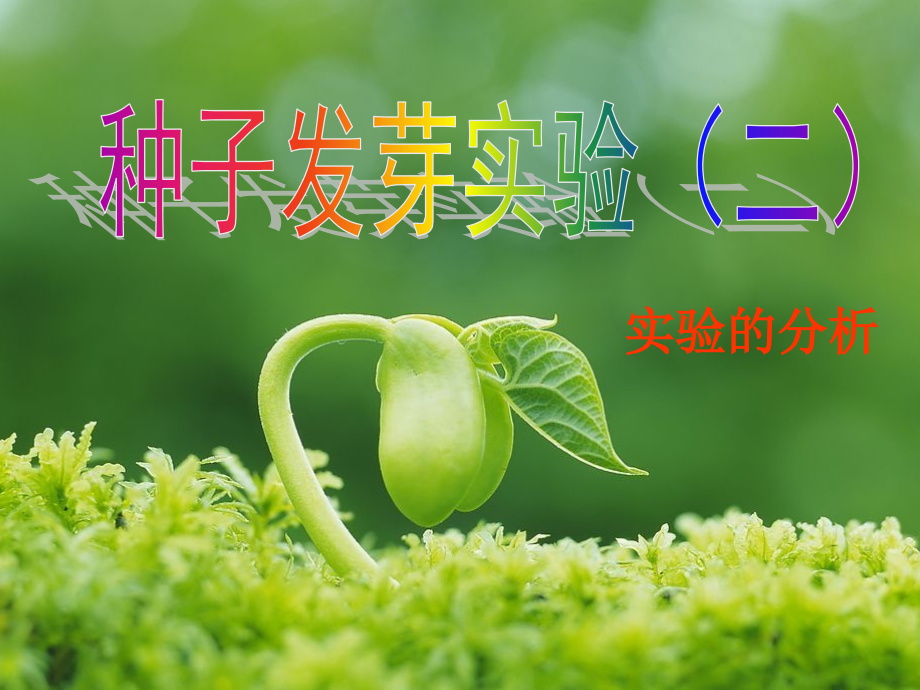 种子发芽实验(二).pptx_第1页