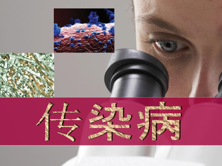 传染病及其应急预案(PPT).ppt_第1页