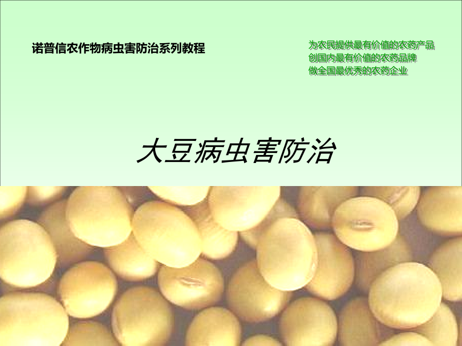 大豆病虫害防治ZS模板.ppt_第1页