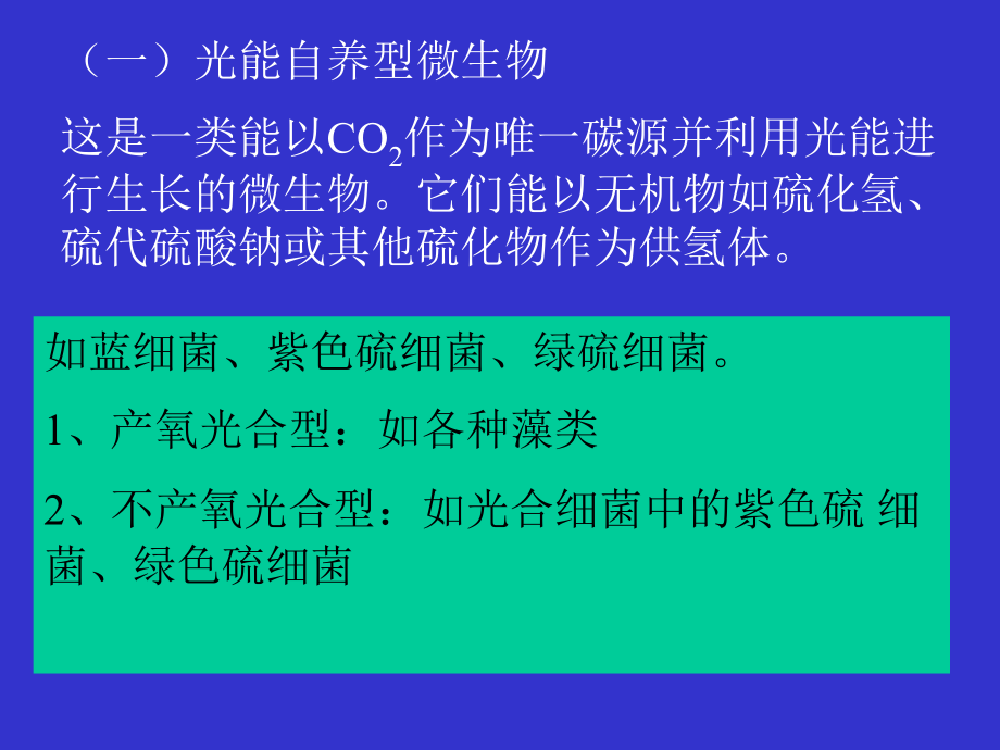 光合细菌.ppt_第2页