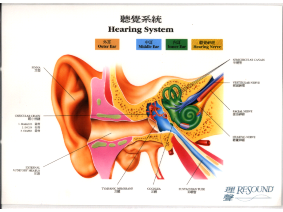 化脓性中耳炎及其并发症(新).ppt_第2页