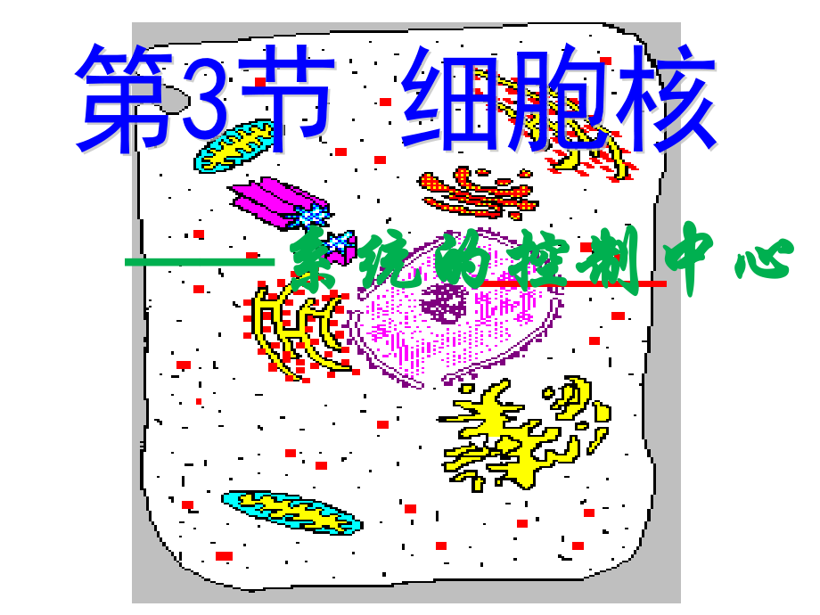 必修1-第3章-第3节-细胞核.pptx_第1页
