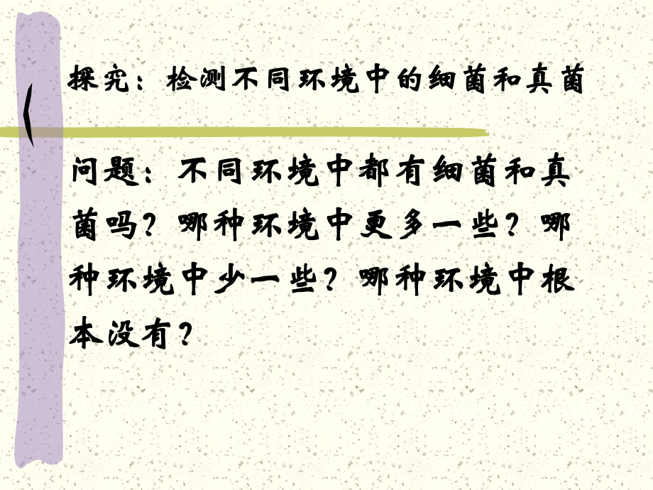 检测不同环境的细菌和真菌.ppt_第2页