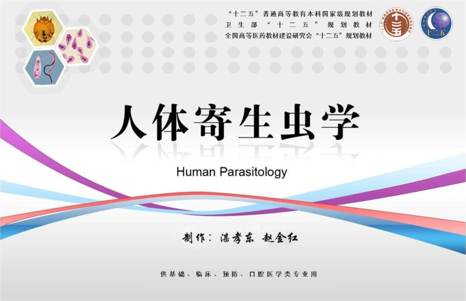 蠕形住肠线虫(蛲虫).ppt_第2页