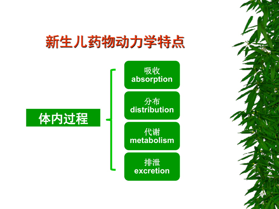 新生儿合理用药0.ppt_第2页