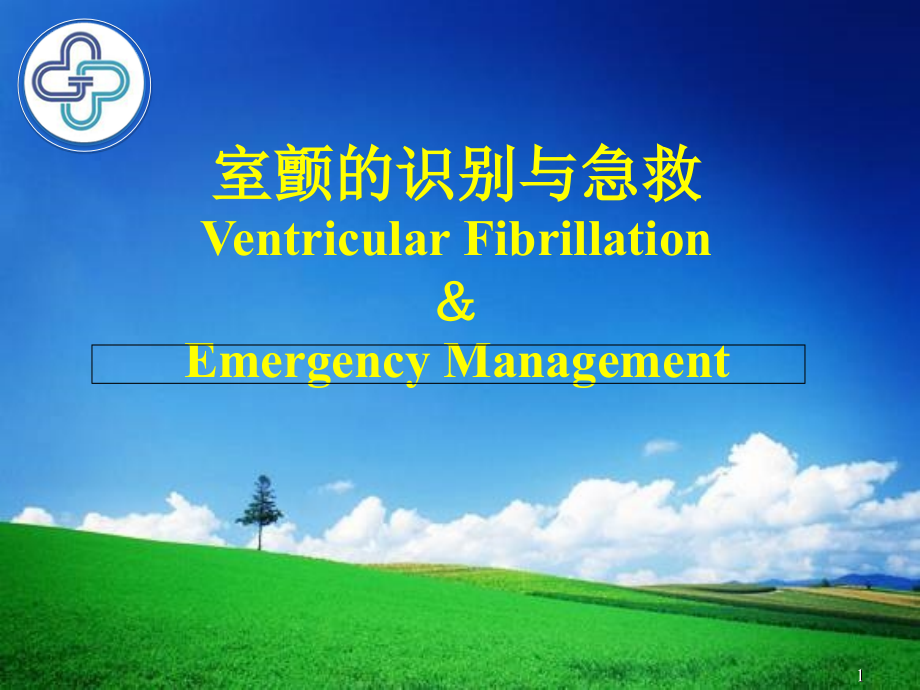 室颤与急救3.ppt_第1页