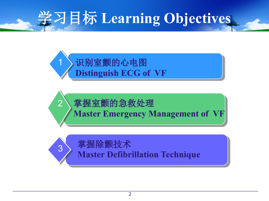 室颤与急救3.ppt_第2页