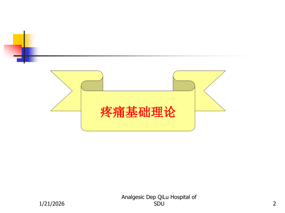 疼痛基础理论及诊疗原则要点.ppt_第2页