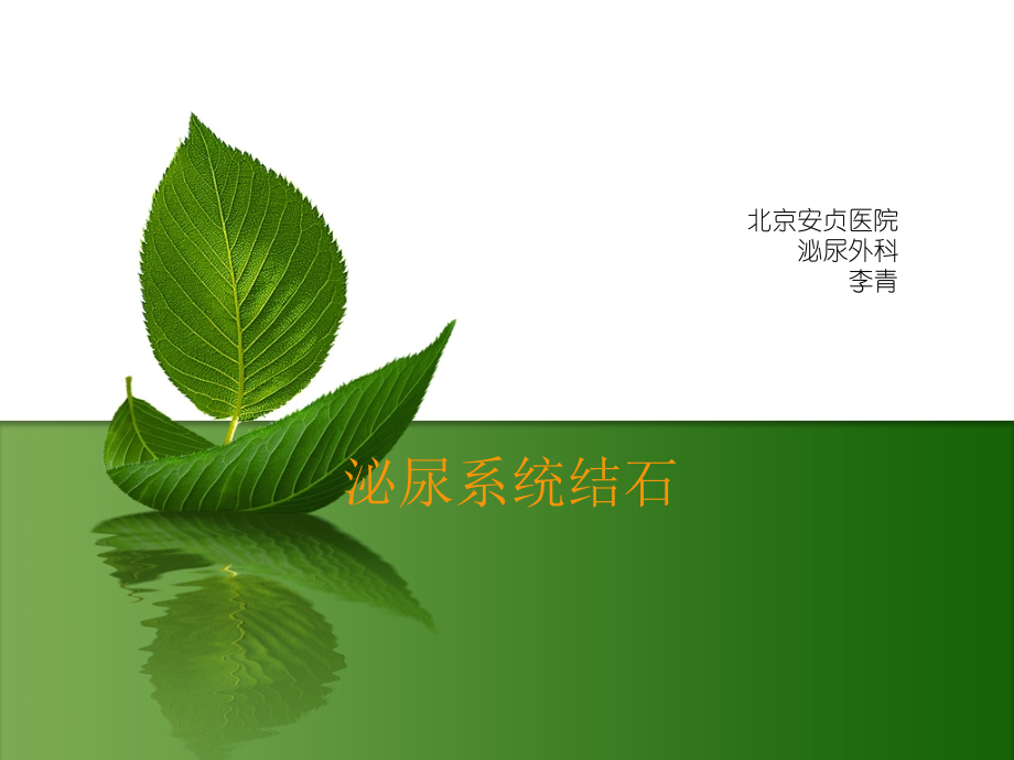 泌尿系结石o(╯□╰)o.ppt_第1页