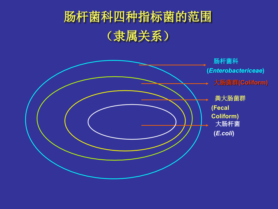 大肠杆菌PPT.ppt_第2页