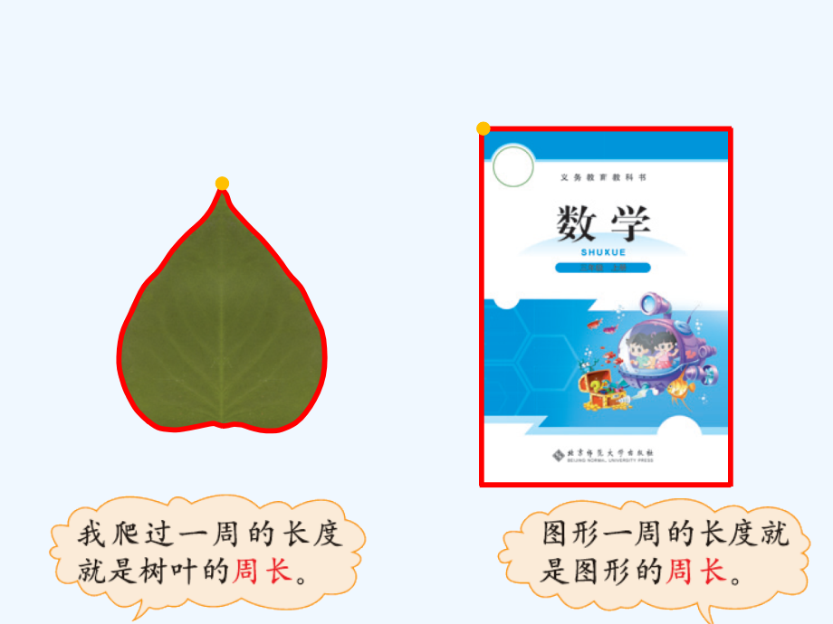小学数学北师大三年级什么是周长新课件.ppt_第2页