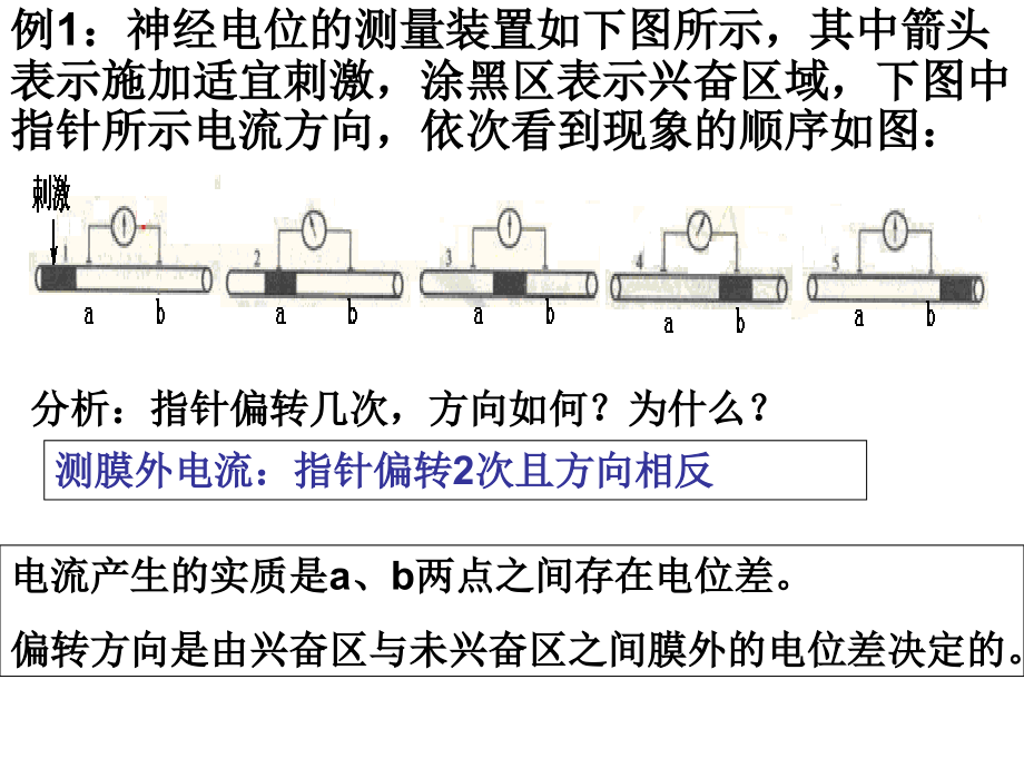 神经调节膜电位变化及其测量考题例析.ppt_第1页