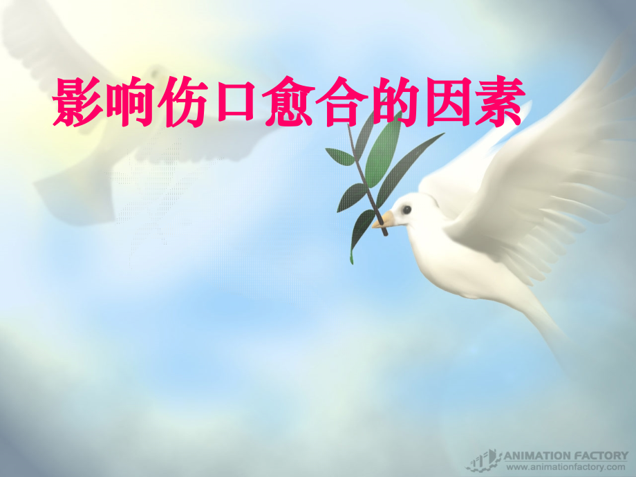 影响伤口愈合的因素..ppt_第1页