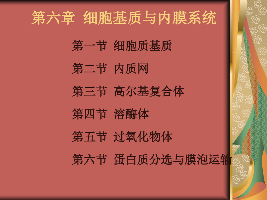 第六章 细胞基质与内膜系统1.ppt_第1页