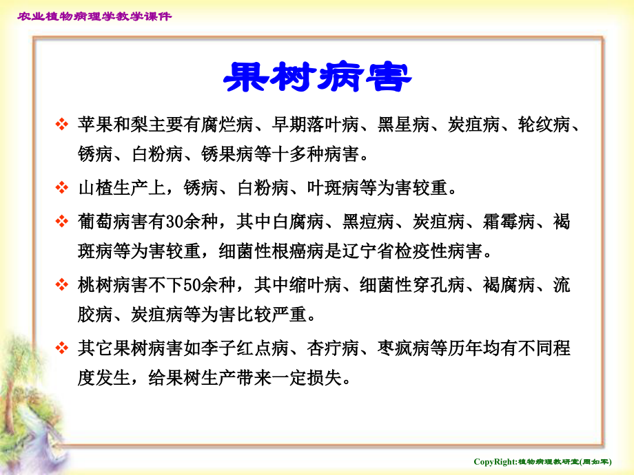 果树病害.ppt_第2页