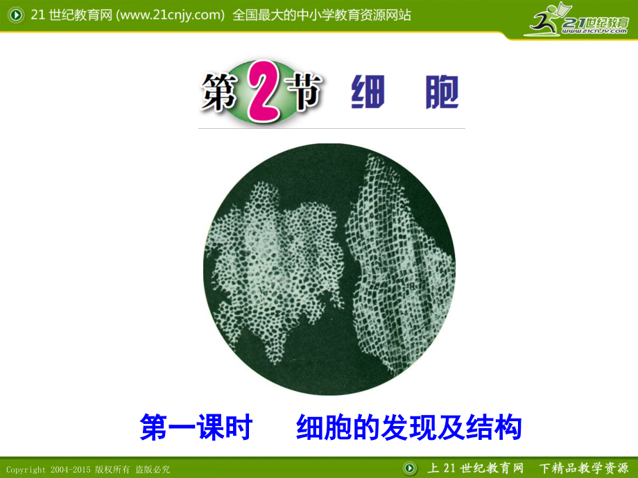 细胞的发现及结构.ppt_第1页