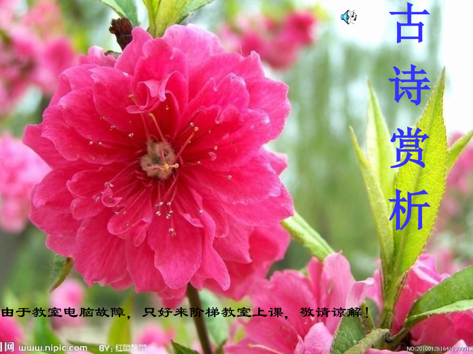 古诗赏析黄鹤楼送孟浩然之广陵ppt.ppt_第1页