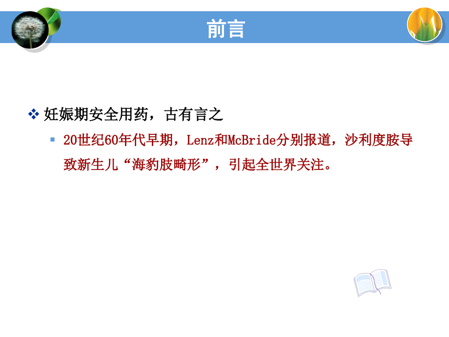 妊娠期用风险评估药.ppt_第2页