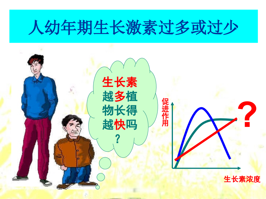 生长素生理作用.ppt_第1页