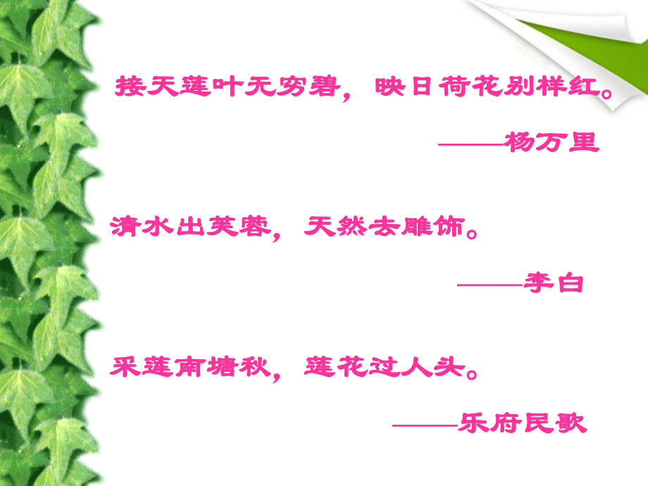 鄂教初中语文九上《爱莲说》.ppt_第2页