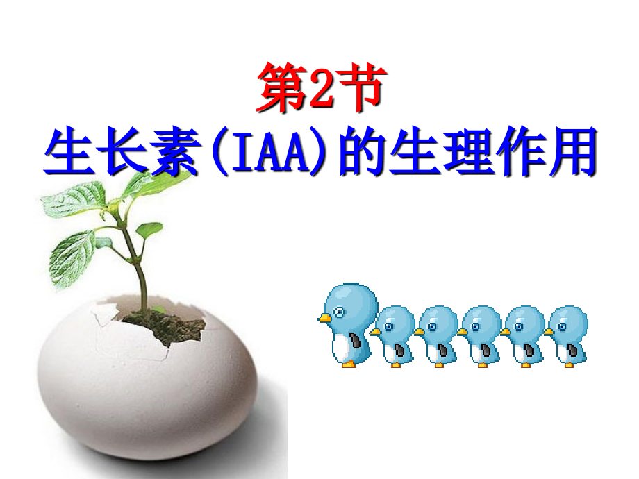 生长素的生理作用---副本.ppt_第1页