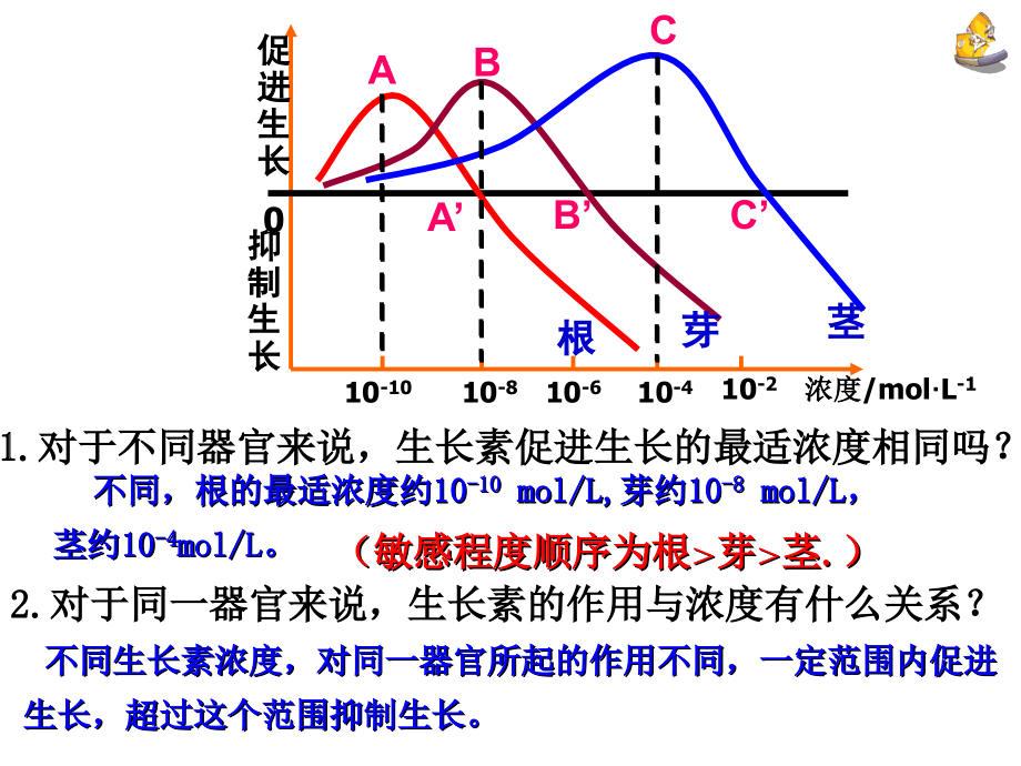 生长素的生理作用---副本.ppt_第2页