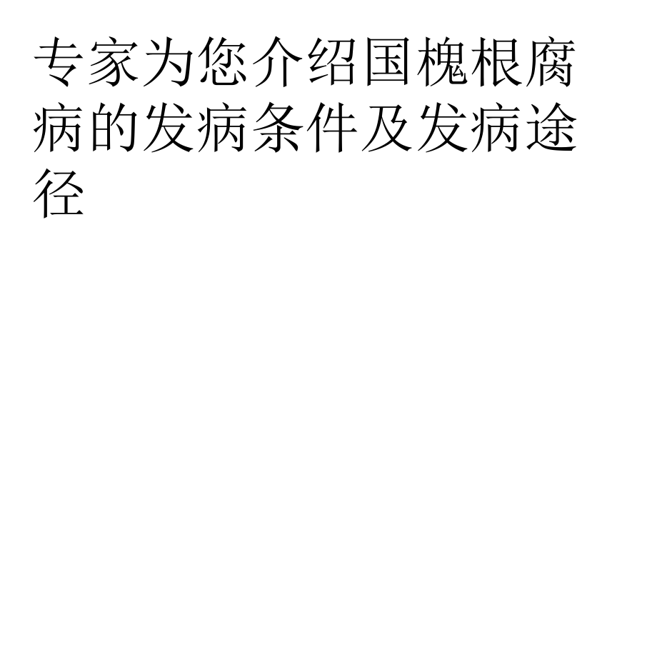 浅谈国槐的根腐病.pptx_第2页